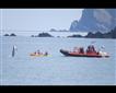 Ilfracombe Sea Safari Picture